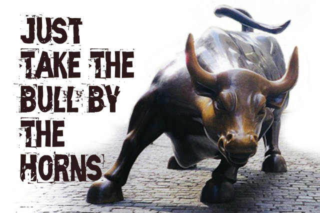 Take The Bull By The Horns